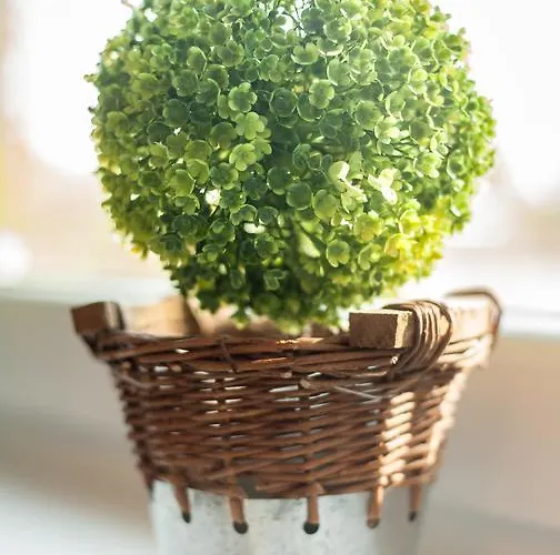 Apartamento Sea-house *